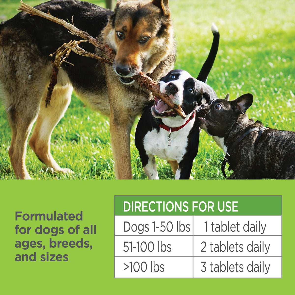 Vetality Naturals Oral Flea & Tick Chews for Dogs 120 ct