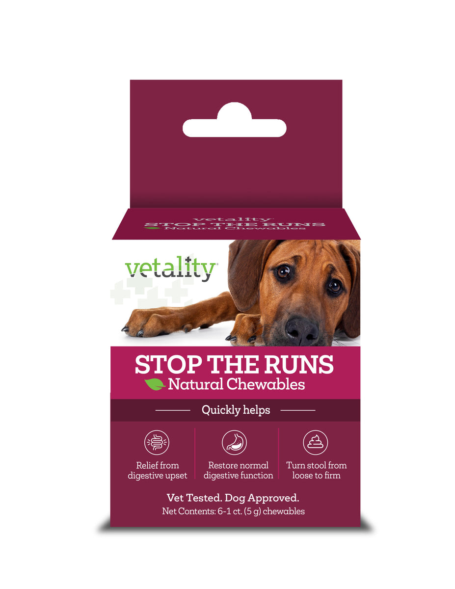Vetality Stop the Runs Chewables for Dogs 6 ct