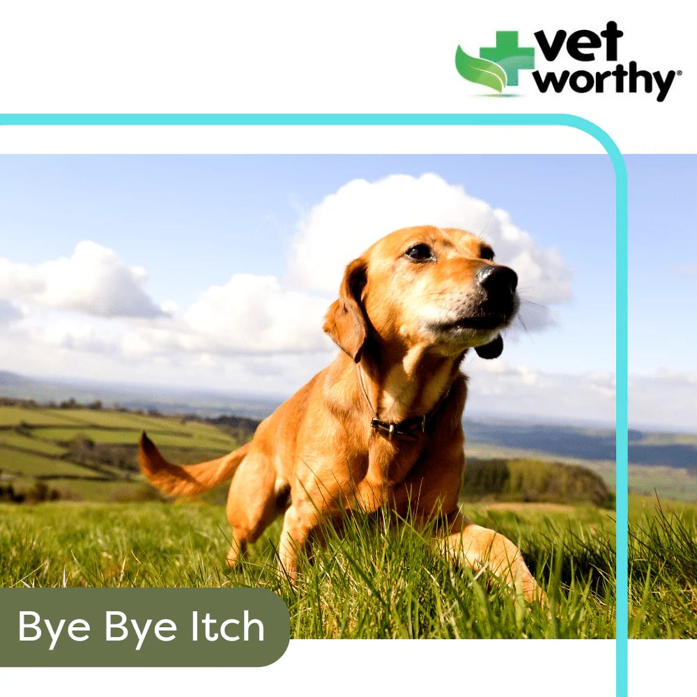 Vet Worthy Anti-Itch Spray 8oz