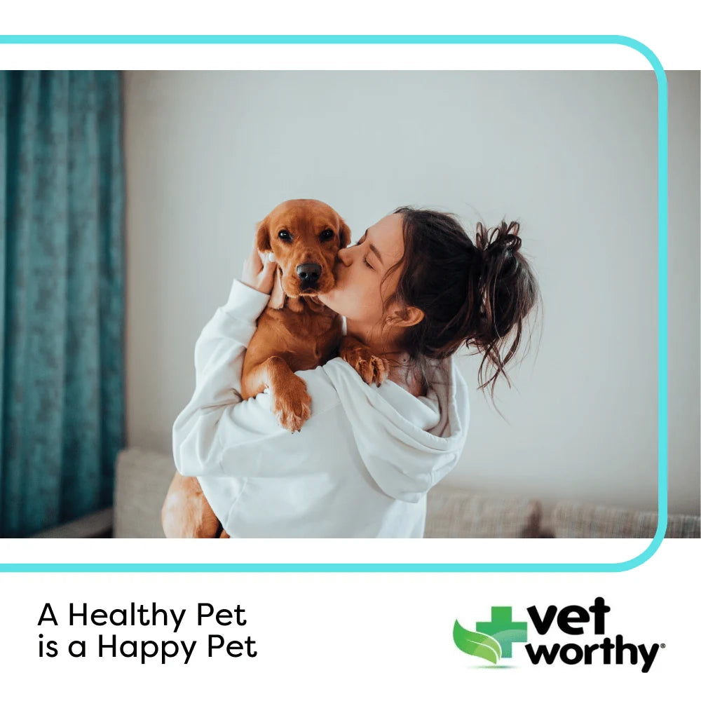 Vet Worthy Anti-Itch Spray 8oz