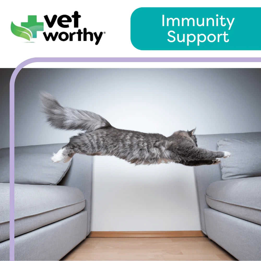 Vet Worthy - 3 oz Lysine Paw Gel Feline