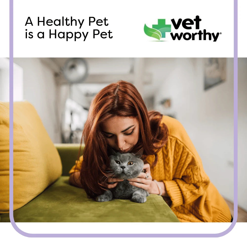 Vet Worthy - 3 oz Lysine Paw Gel Feline
