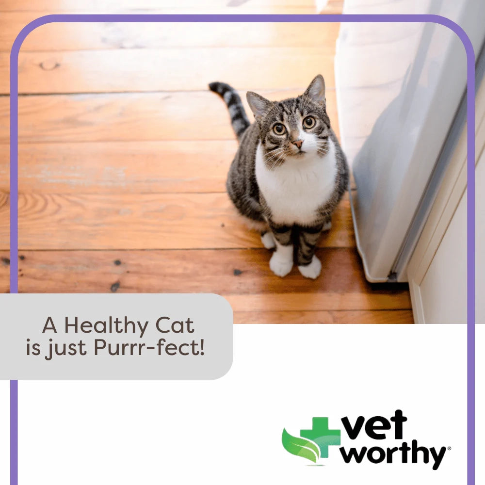 Vet Worthy - 3 oz Urinary Paw Gel Feline