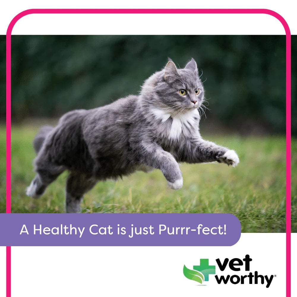 Vet Worthy - 3 oz Digestive Paw Gel Feline