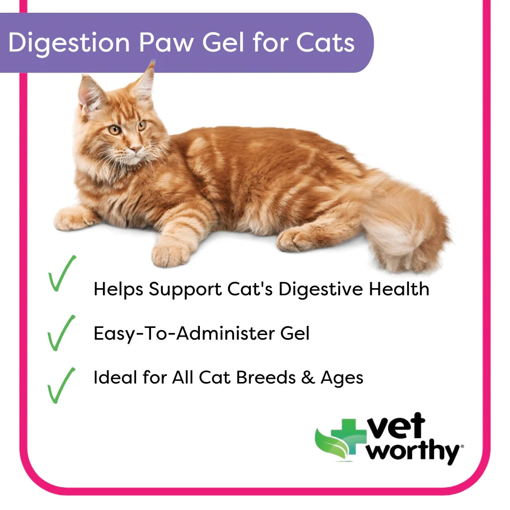 Vet Worthy - 3 oz Digestive Paw Gel Feline