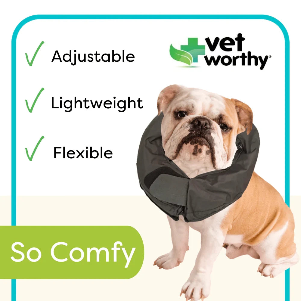 Vet Worthy Pet Protective Collar XSmall Boxed