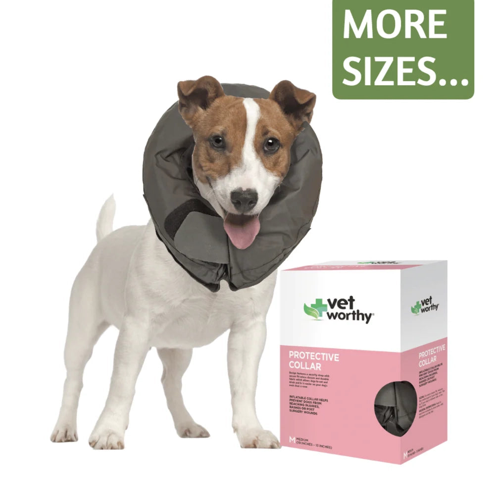 Vet Worthy Pet Protective Collar XSmall Boxed