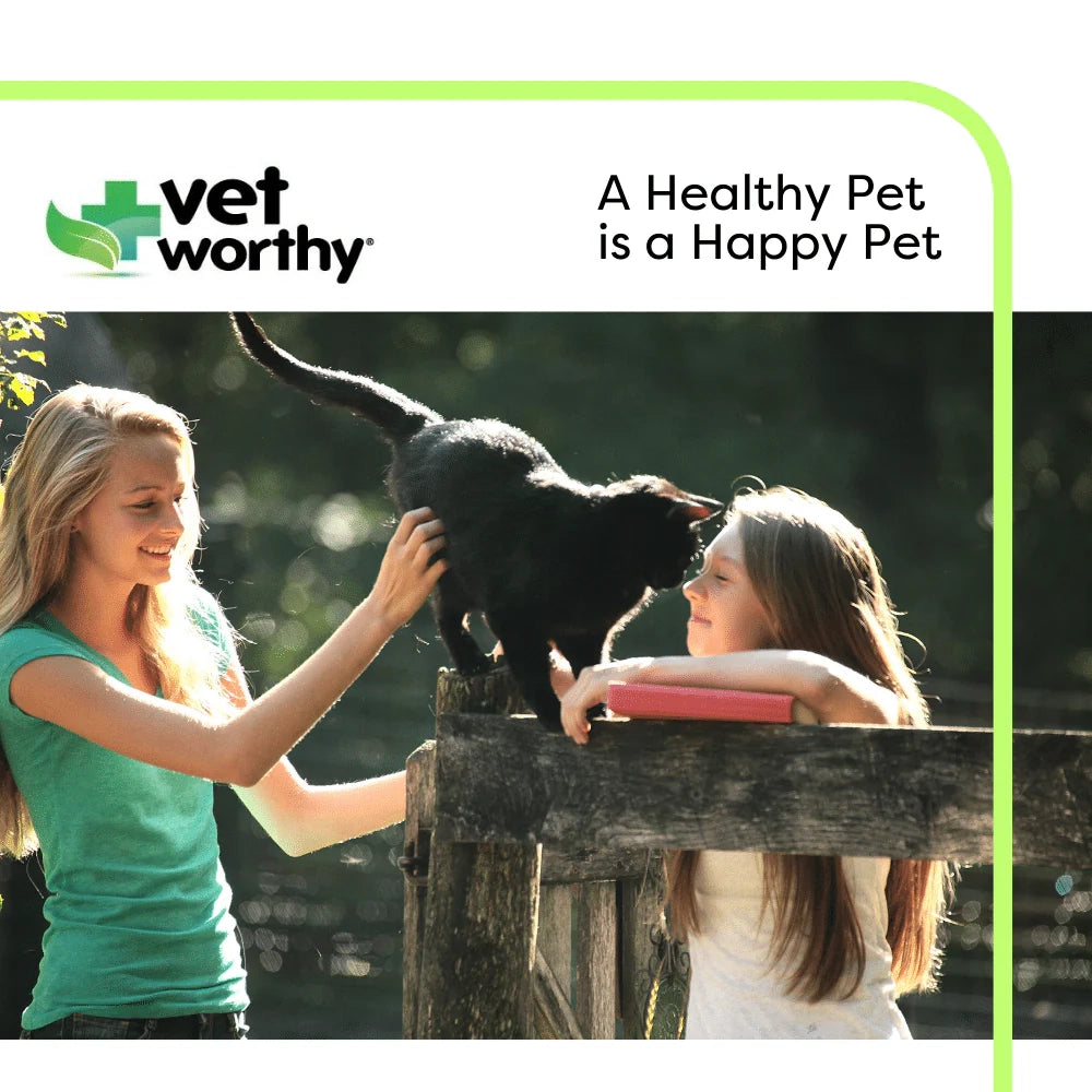 Vet Worthy - 3 oz Hip & Joint Paw Gel Feline