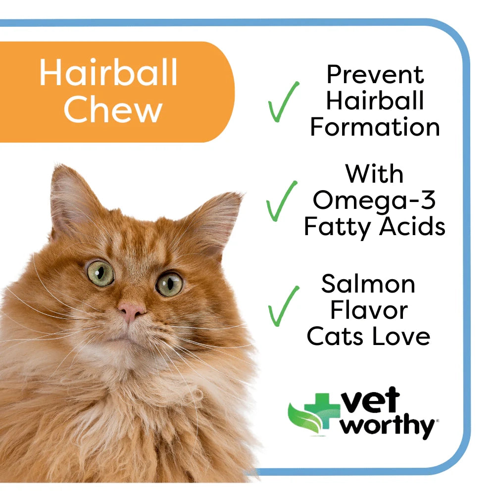 Vet Worthy Hairball Support w/ Pumpkin Soft Chews Feline 60ct