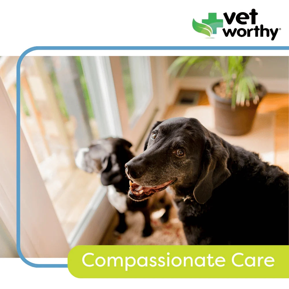 Vet Worthy Multi-Vitamins for Seniors Soft Chews 60ct