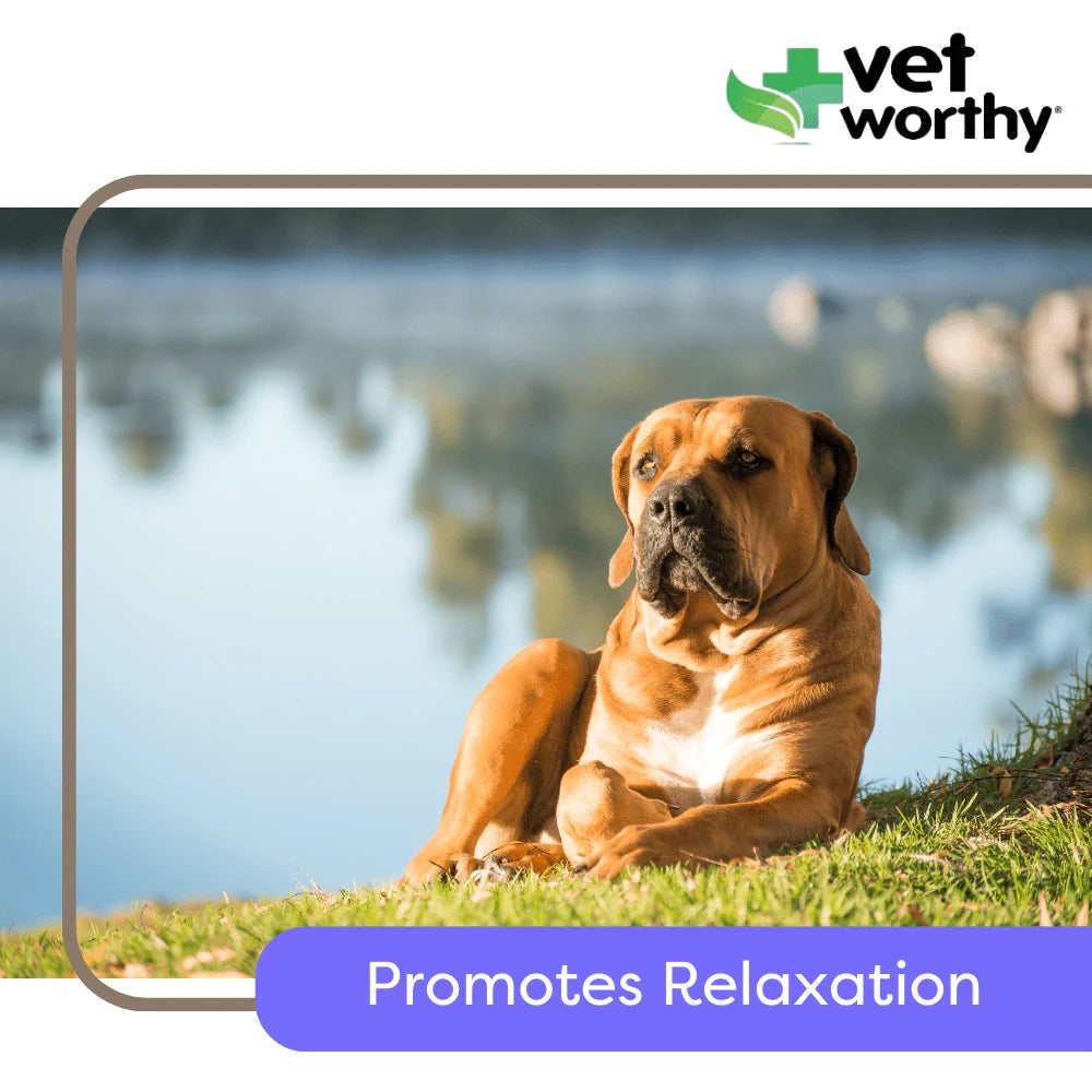Vet Worthy Calming Soft Chews 60ct