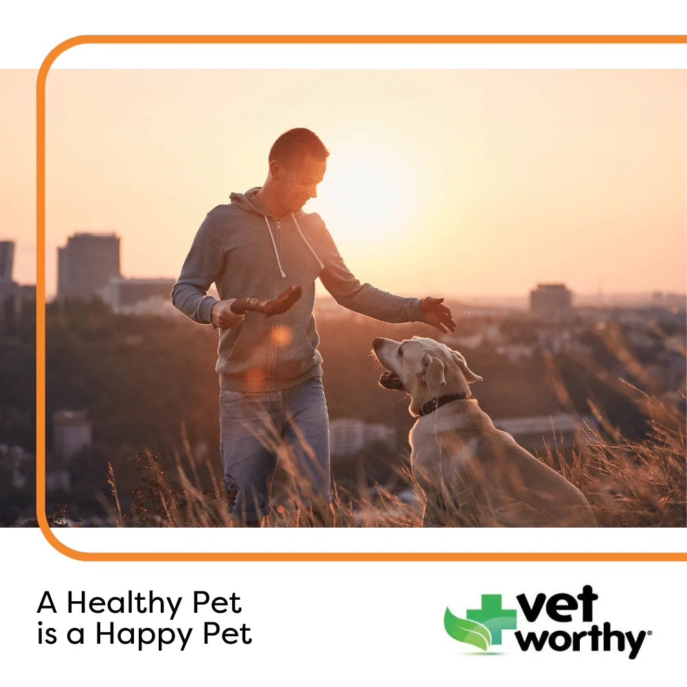 Vet Worthy Skin & Coat Soft Chew 30ct