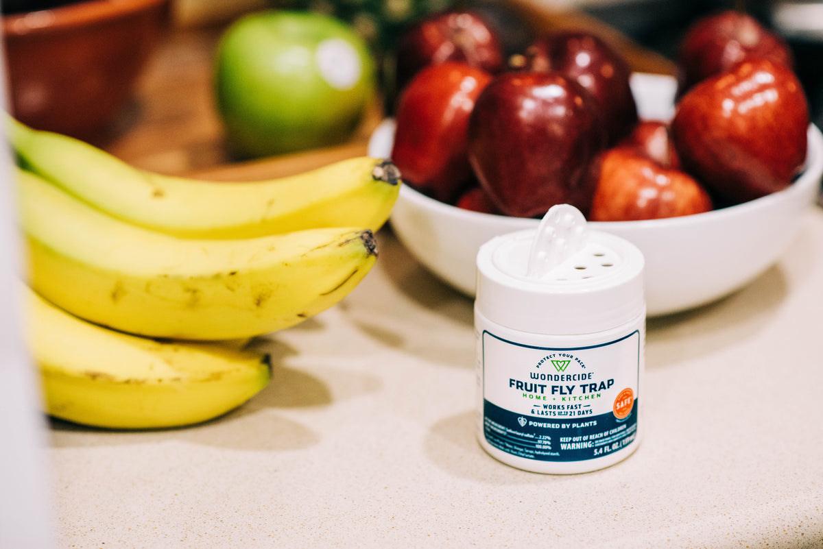 Wondercide - Fruit Fly Trap Home + Kitchen