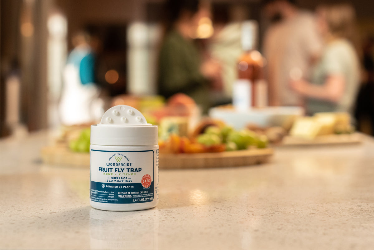 Wondercide - Fruit Fly Trap Home + Kitchen