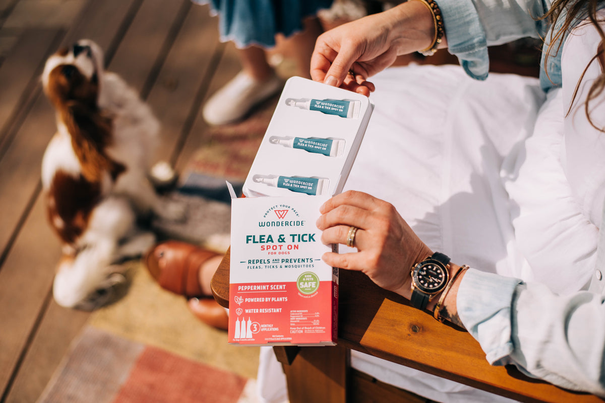 Wondercide Flea & Tick Spot On for Dogs - Medium - Peppermint