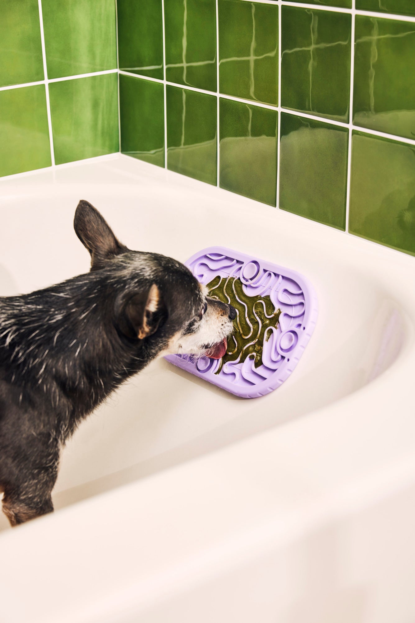 WOOF FlipMat Mini- Lavender