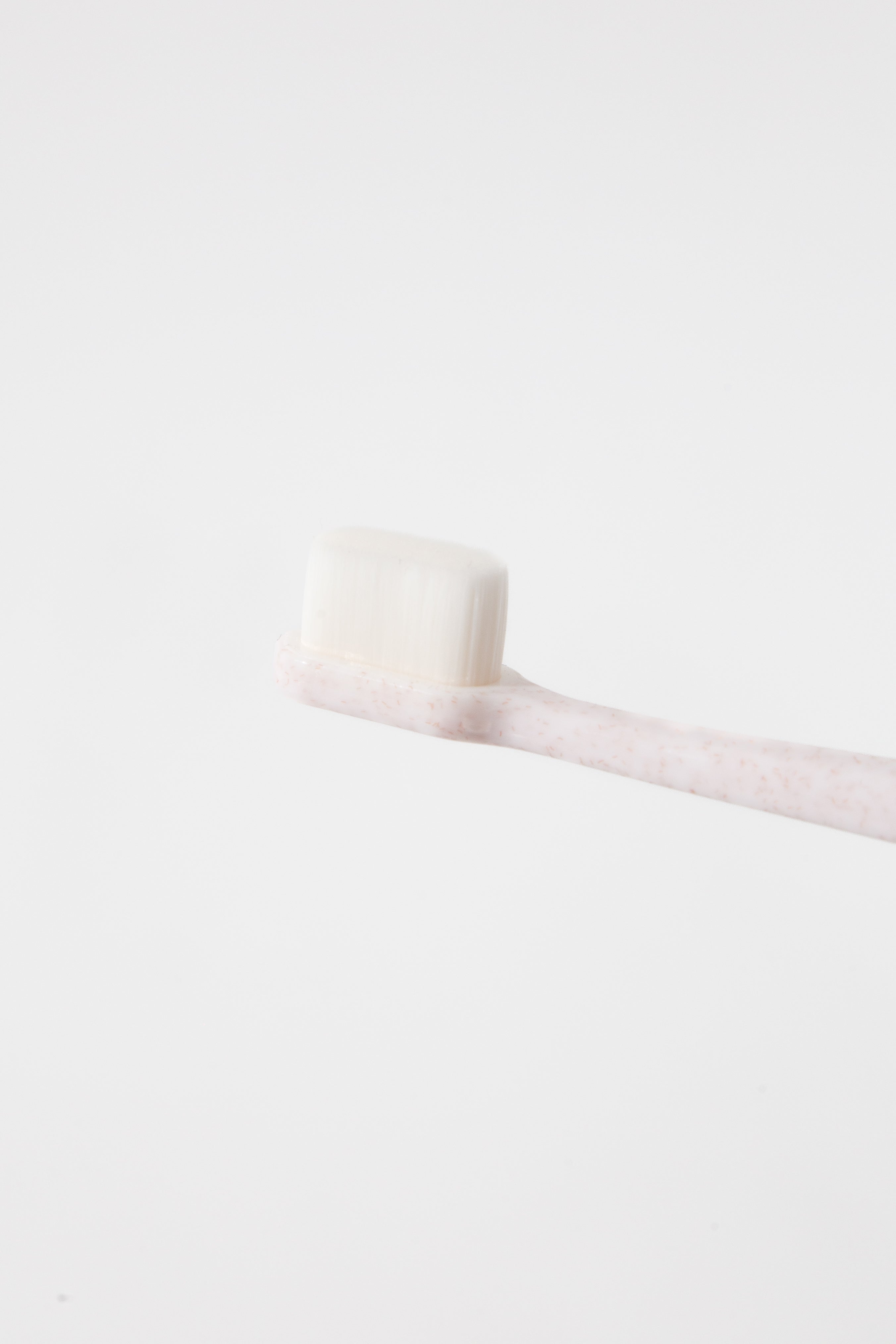 Wag & Bright Supply Co. Puppy Polisher Eco Toothbrush (regular/medium)