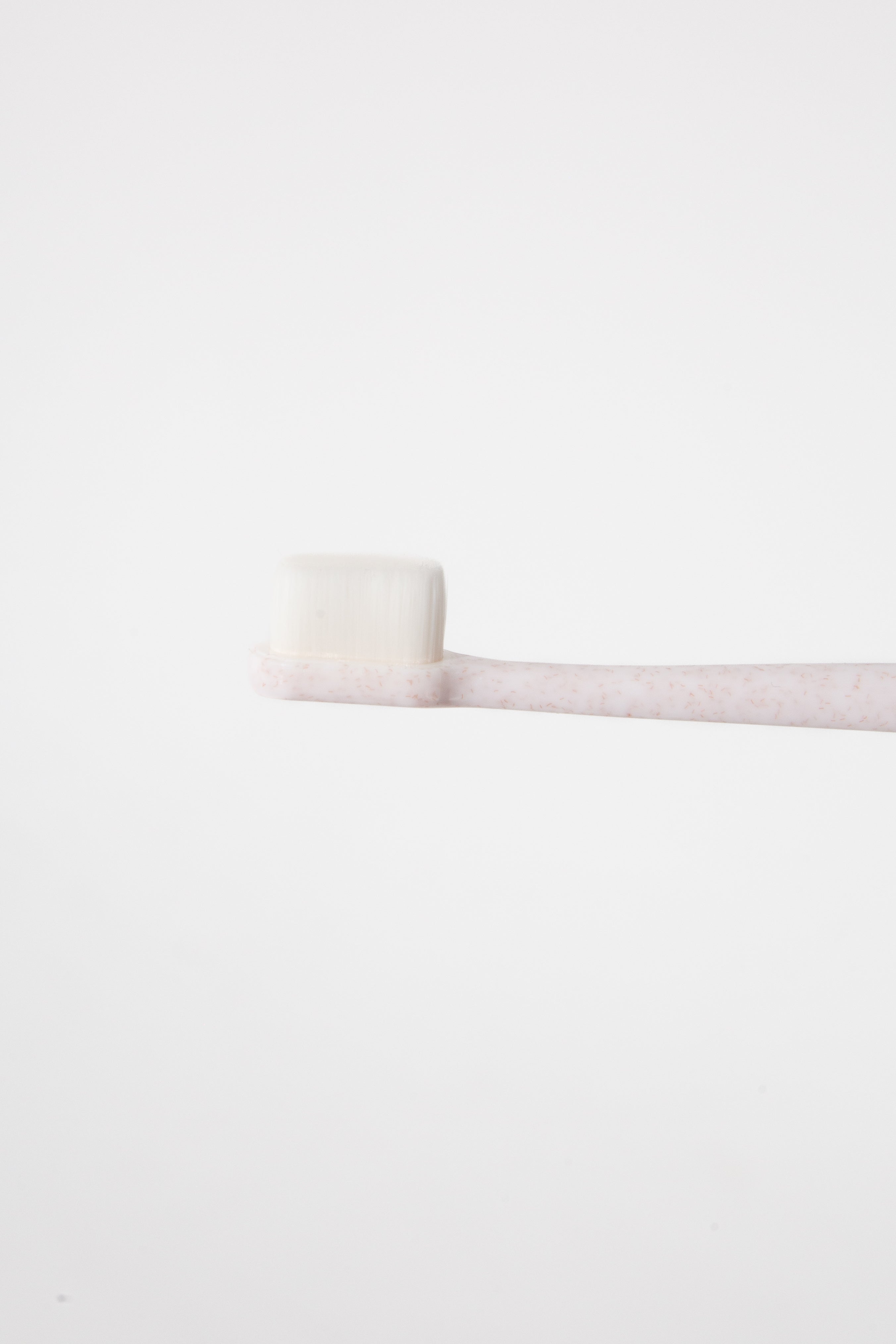 Wag & Bright Supply Co. Puppy Polisher Eco Toothbrush (regular/medium)