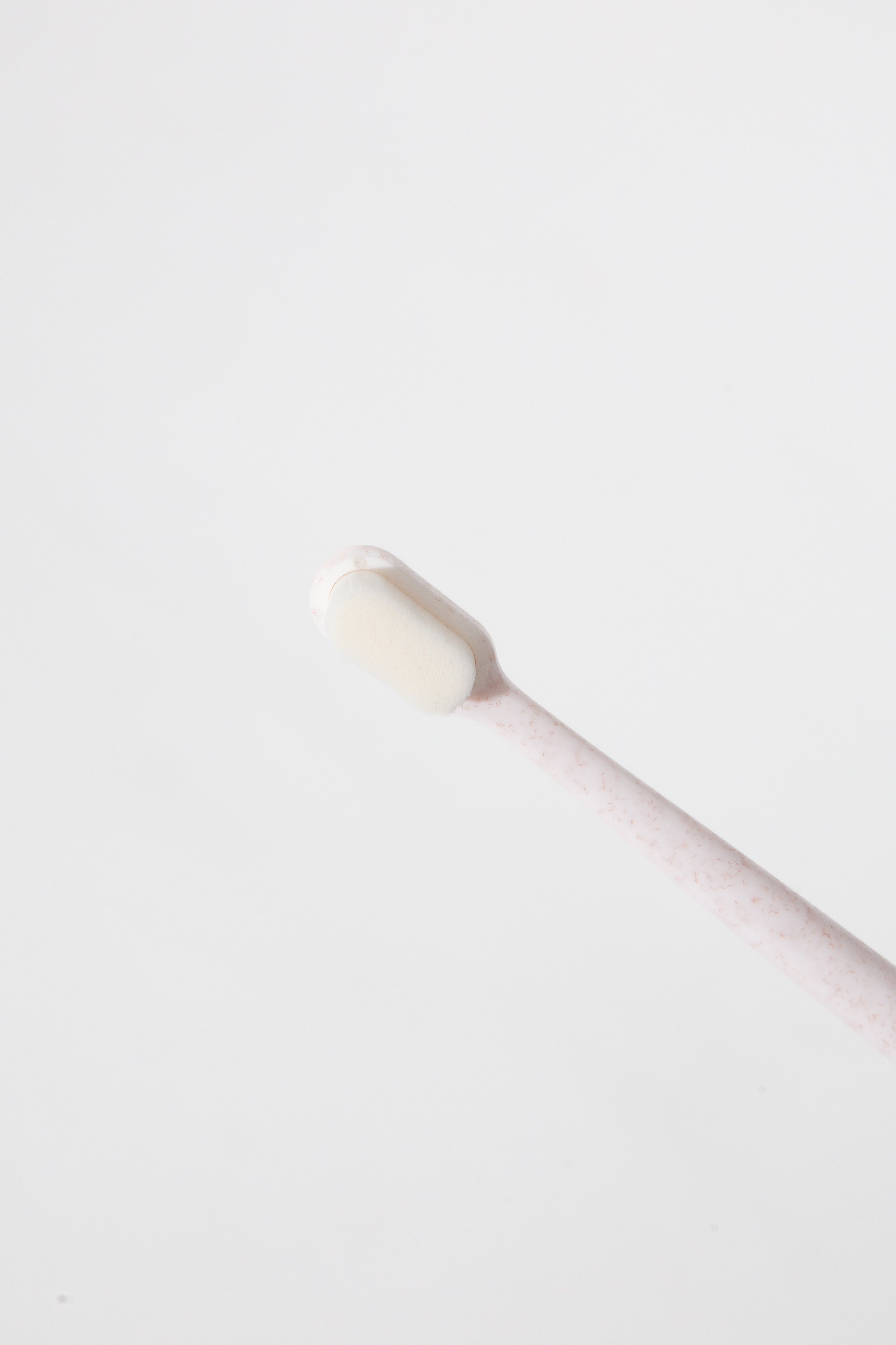 Wag & Bright Supply Co. Puppy Polisher Eco Toothbrush (regular/medium)