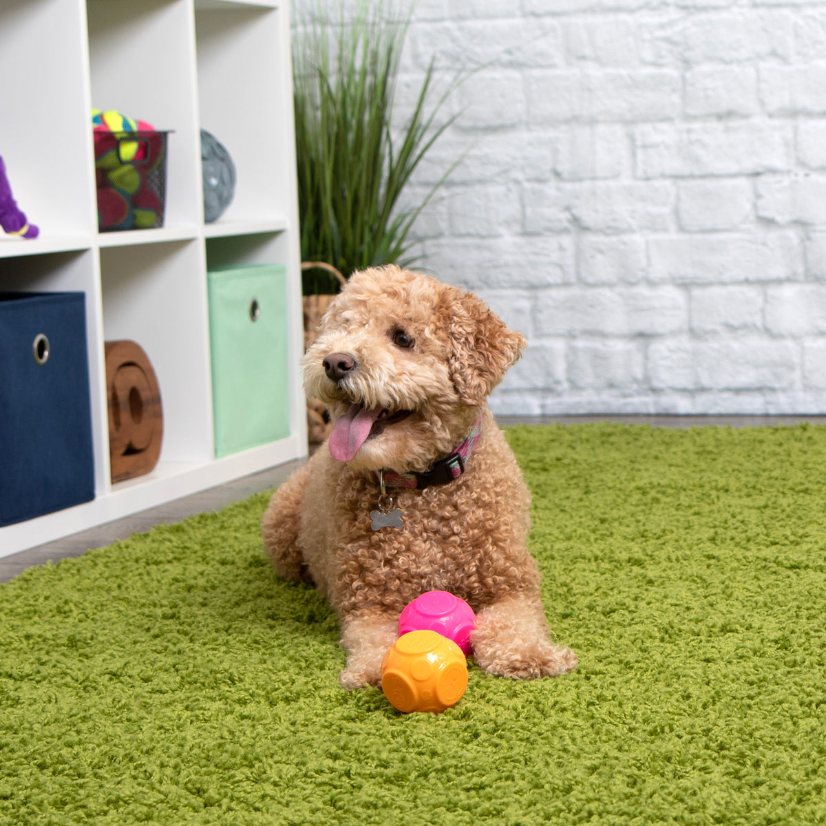 goDog Silent Squeaker Ball Dog Toy 2pk