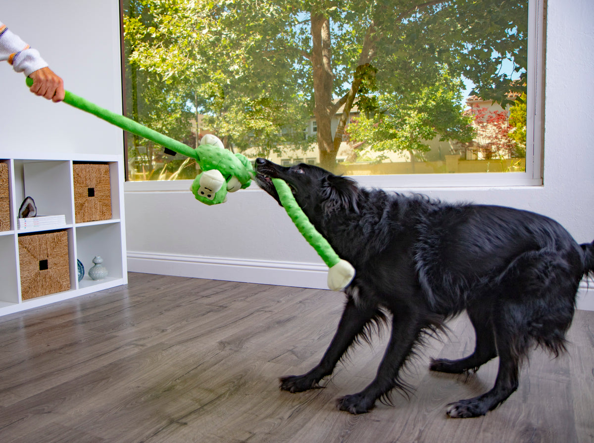 goDog Crazy Tugs Monkeys Squeaky Plush Dog Toy Large