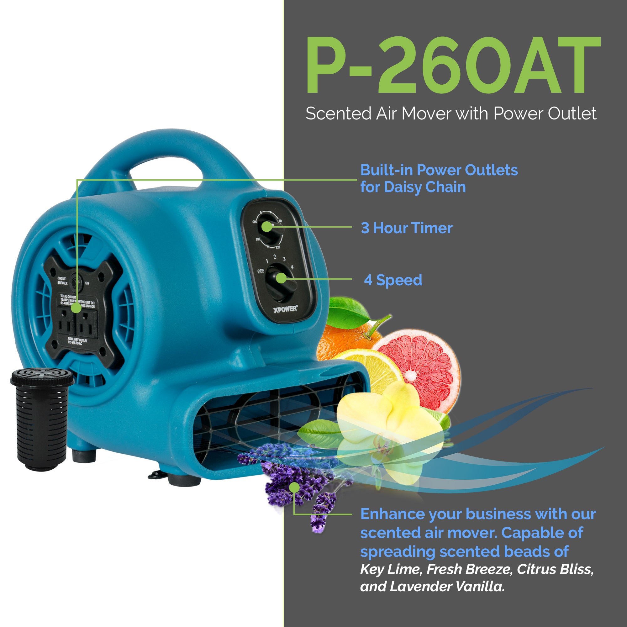 XPOWER CleanGroom Carbon-Free Solution - Deluxe