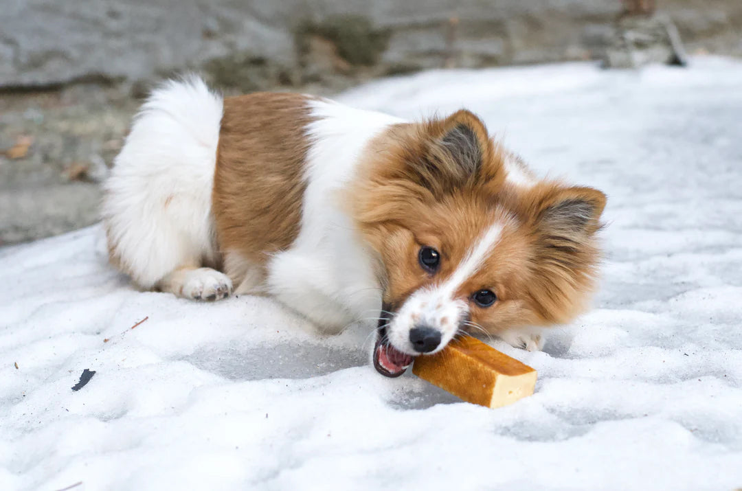 Yeti Dog Chew 2pc Medium Chews 5oz Bag