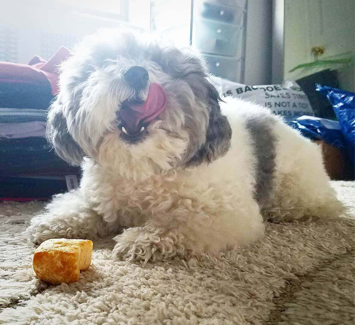 Yeti Dog Chew Crunchy Puffs 3.5oz Bag