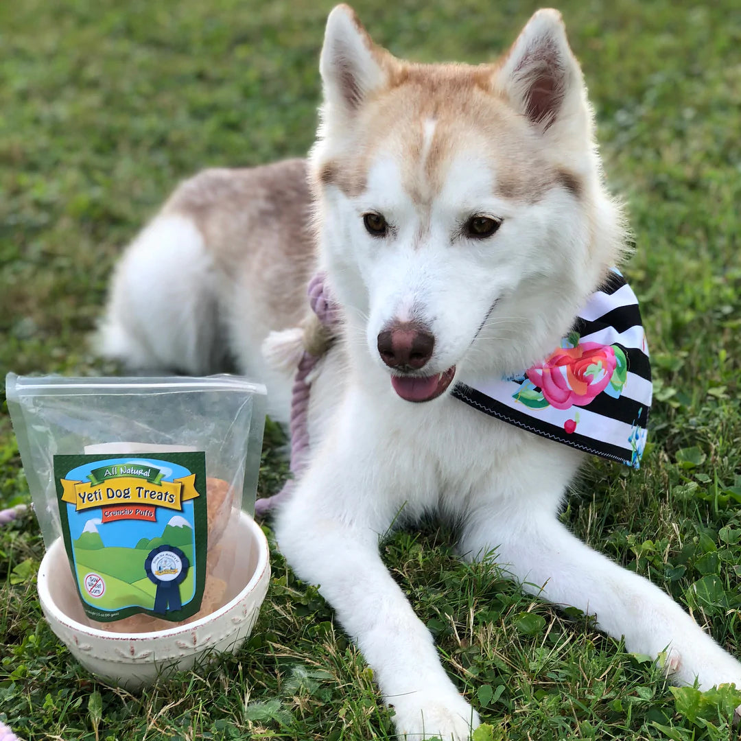Yeti Dog Chew Crunchy Puffs 3.5oz Bag