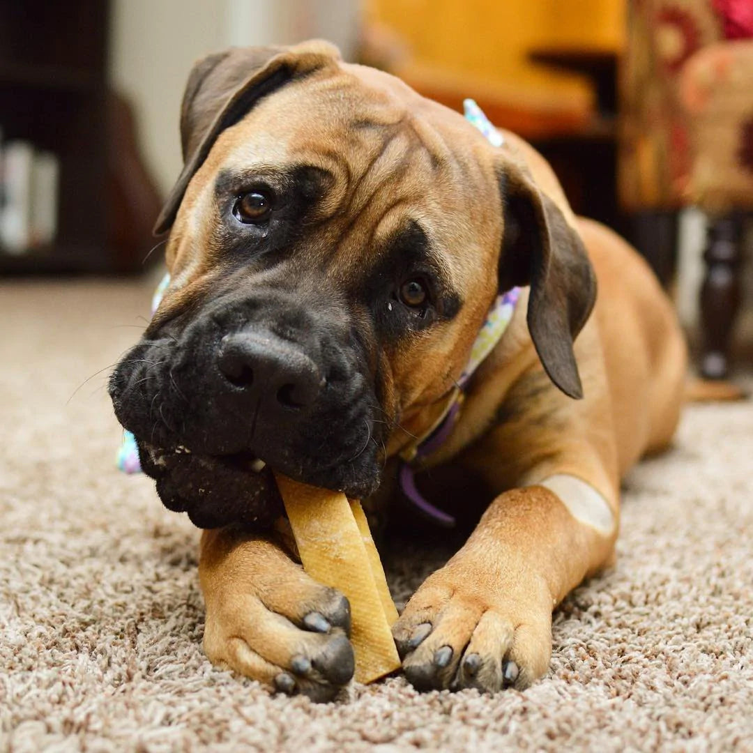 Yeti Dog Chew 1pc X-Large Chew 5.5 oz Bag