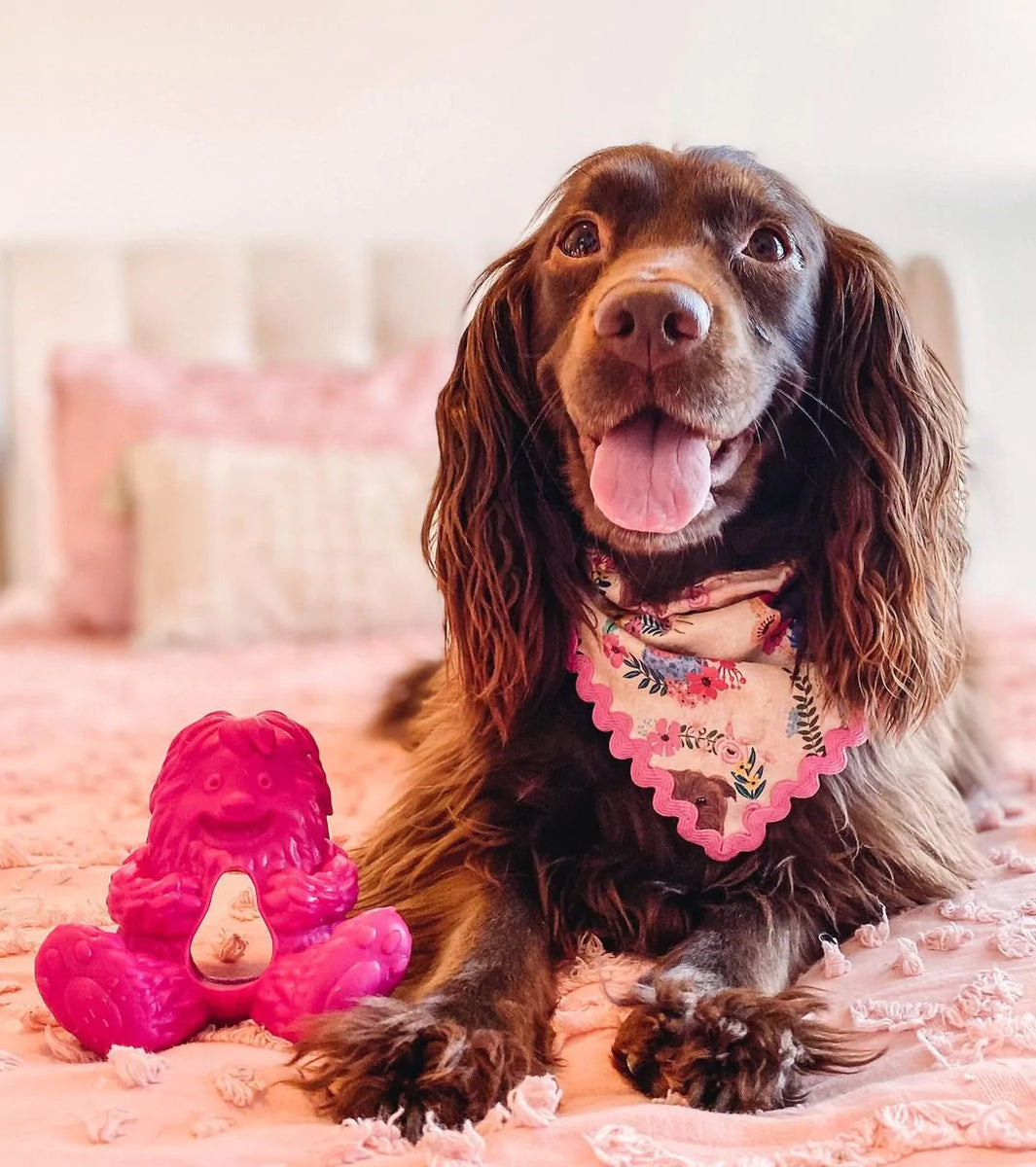 Yeti Dog Chew Puff & Play Hangry Yeti Pink