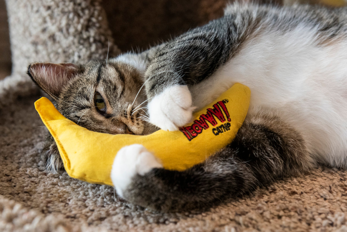 Yeowww! Bananas singles