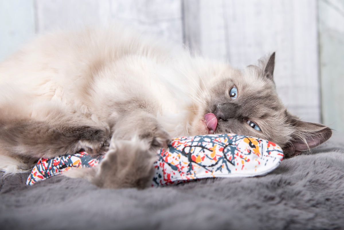 Yeowww! Pollock Fish (11" inches)