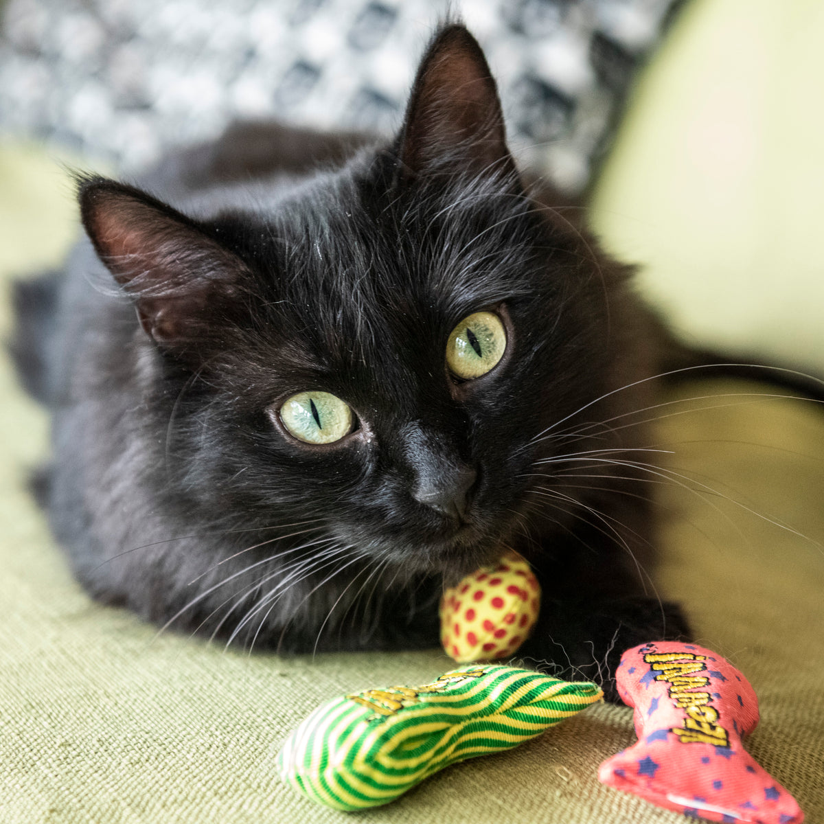 Yeowww! Fish Bowl w/School 0f 51 Stinkies