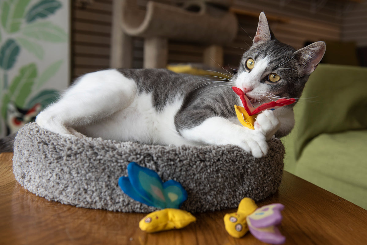 Yeowww! Butterfly Red