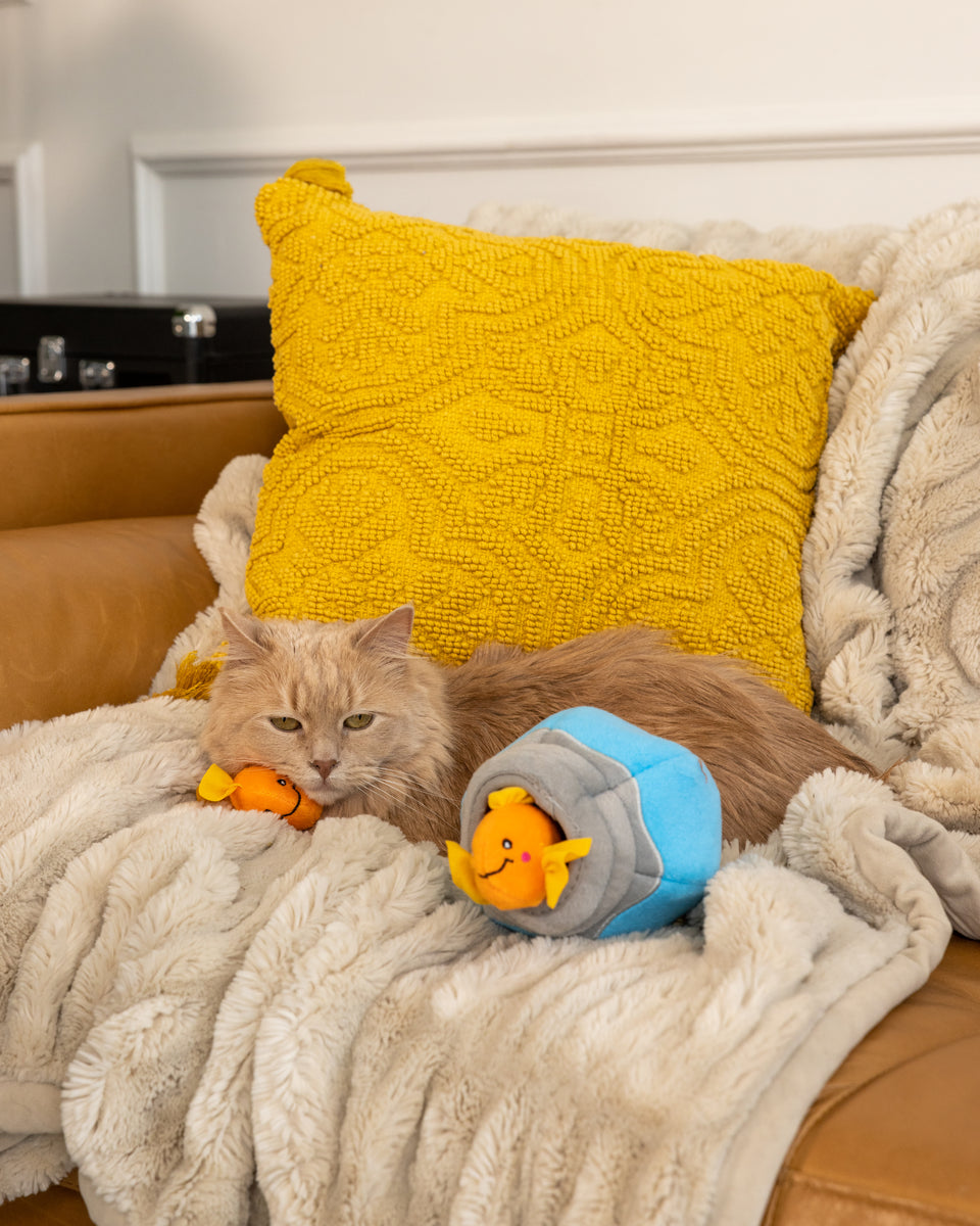 ZippyClaws Burrow - Fish in Bowl