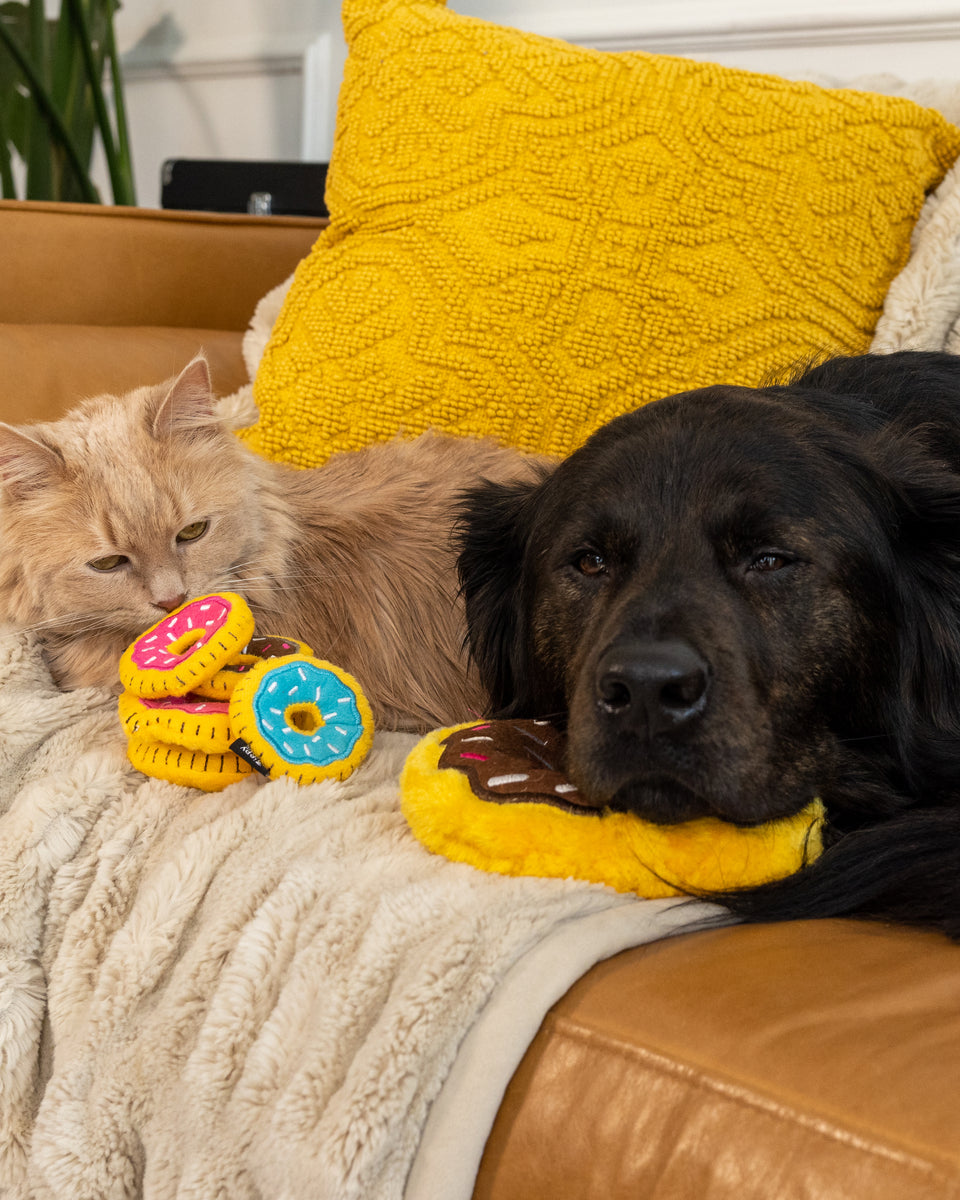 ZippyClaws Mini Donutz 3-Pack