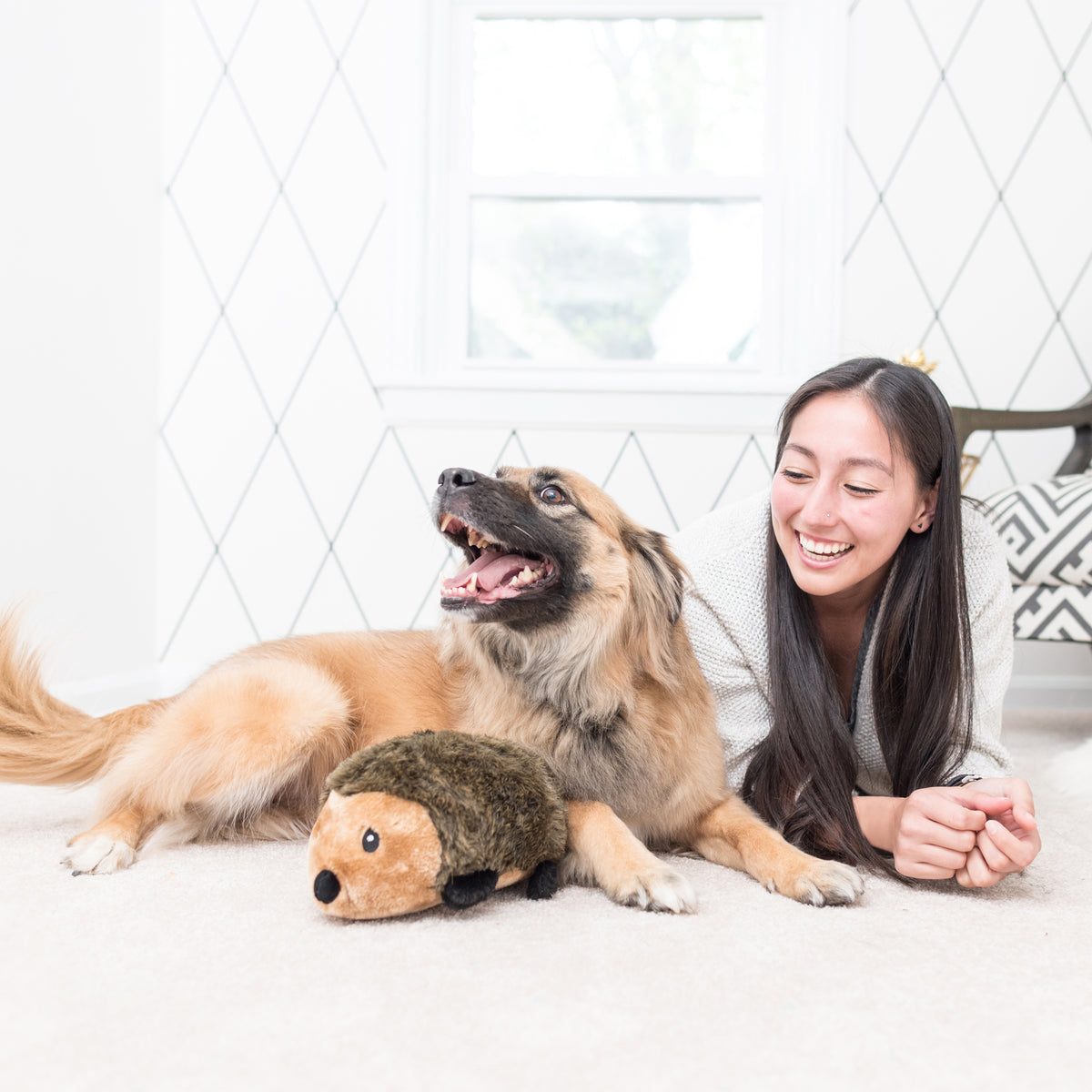 ZippyPaws Hedgehog Large