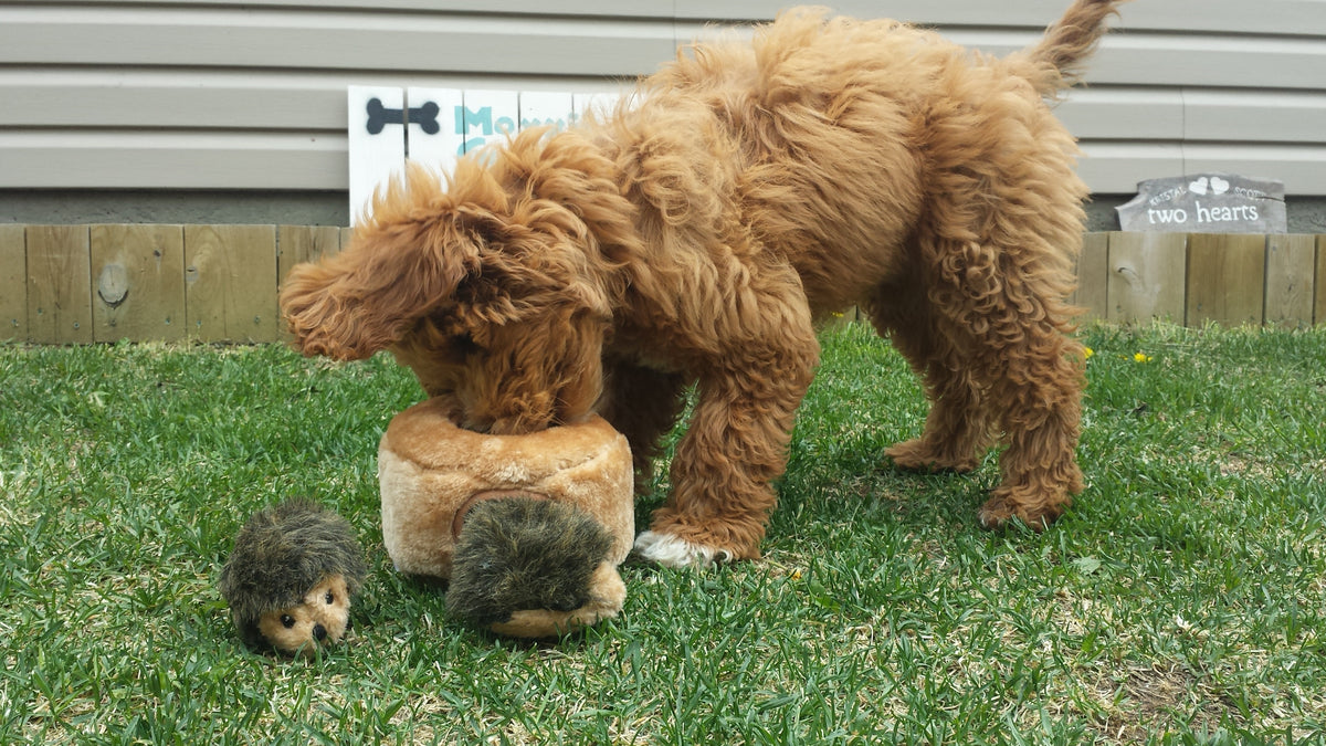 ZippyPaws Burrow Hedgehog Den