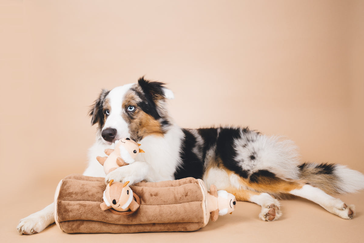 ZippyPaws Burrow Log