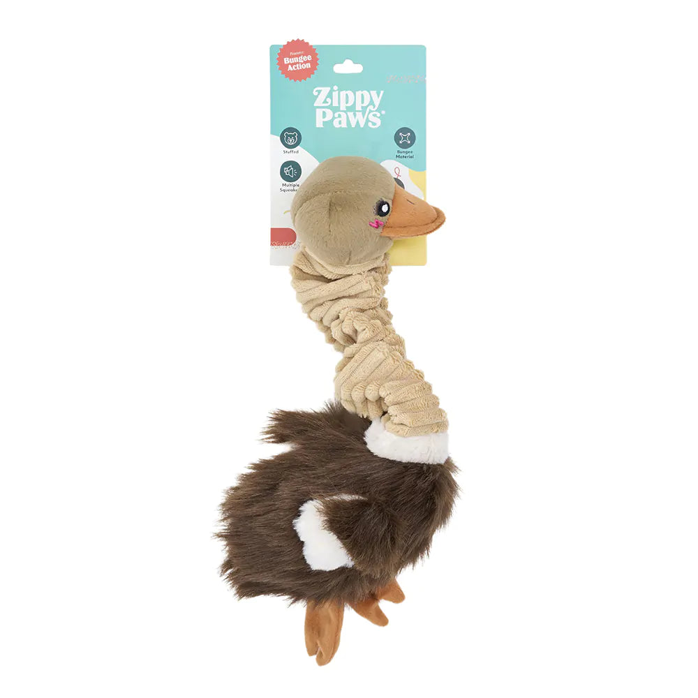 ZippyPaws Bungee Buddiez Ostrich Dog Rope Toy