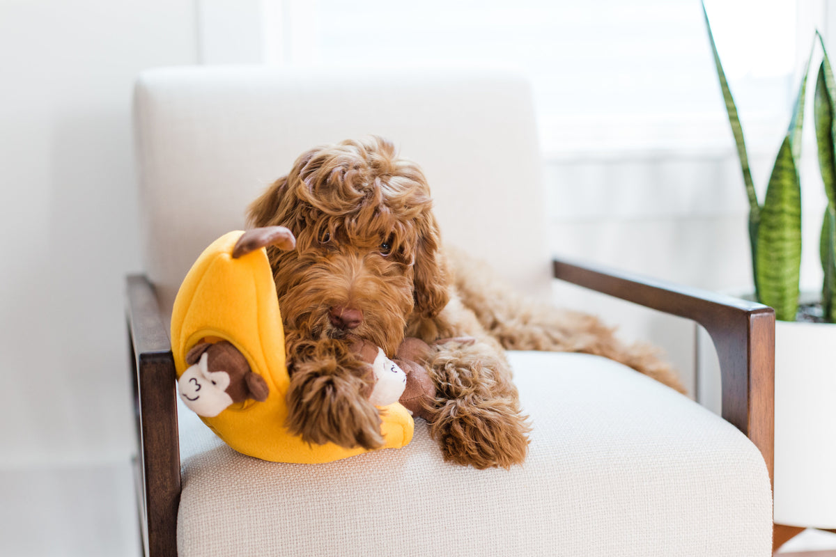 ZippyPaws Burrow Monkey 'n Banana