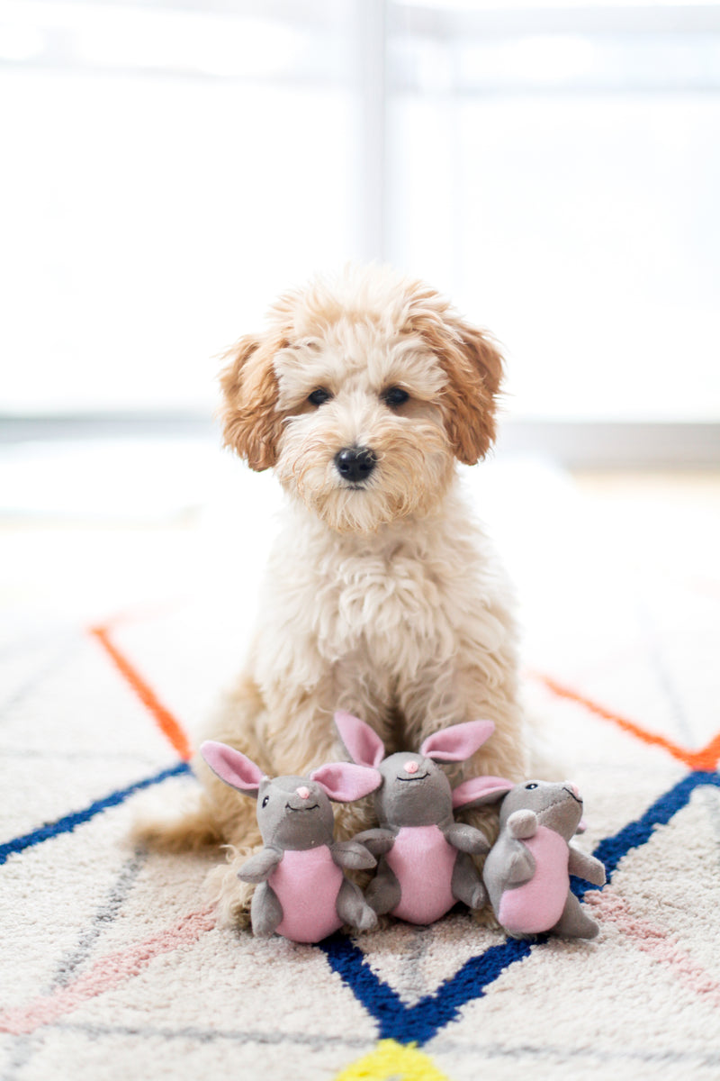ZippyPaws Burrow Bunny 'n Carrot
