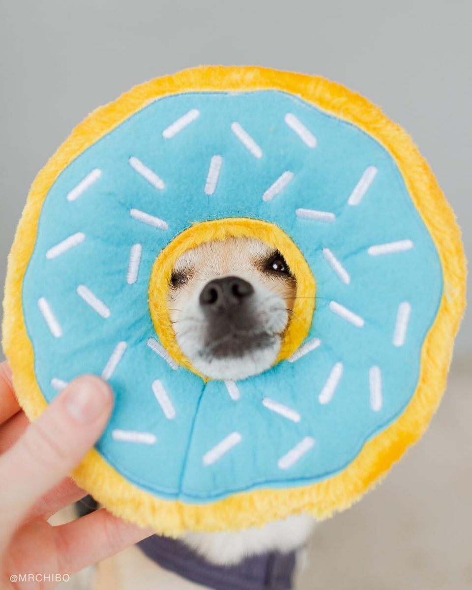 ZippyPaws Donutz Blueberry