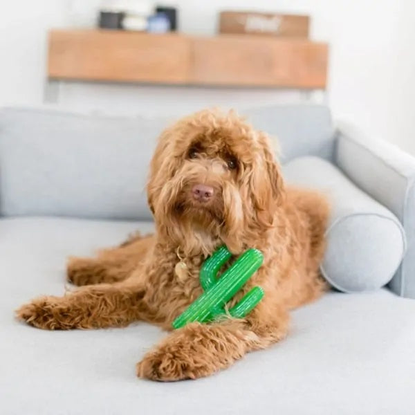 ZippyPaws ZippyTuff Cactus Dog Chew Toy