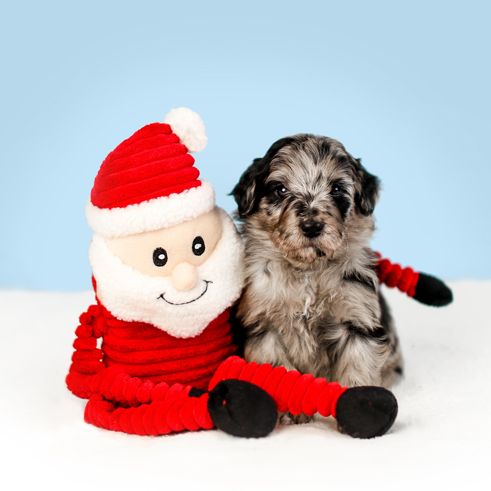 ZippyPaws Holiday Crinkle Santa Plush Dog Toy Small