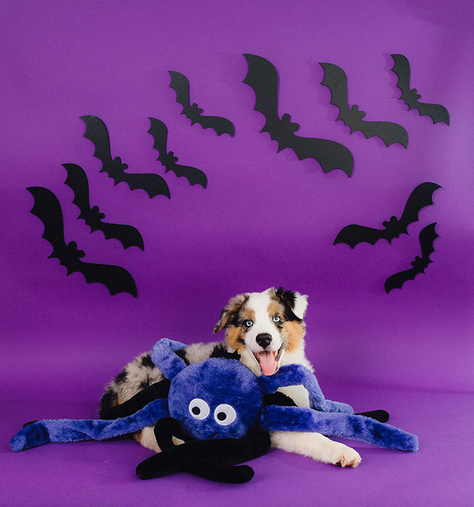 ZippyPaws Grunterz - Purple Spider