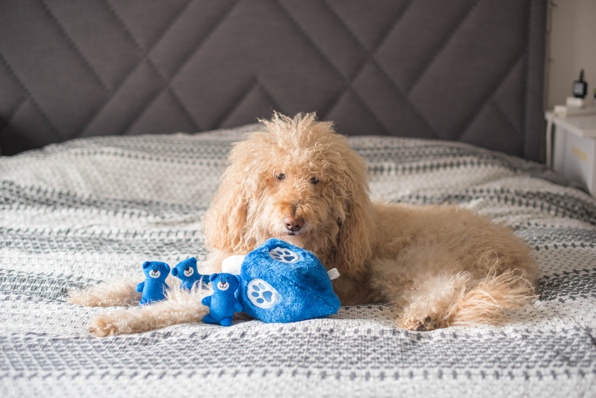 ZippyPaws Hanukkah Burrow Dreidel Plush Dog Toy