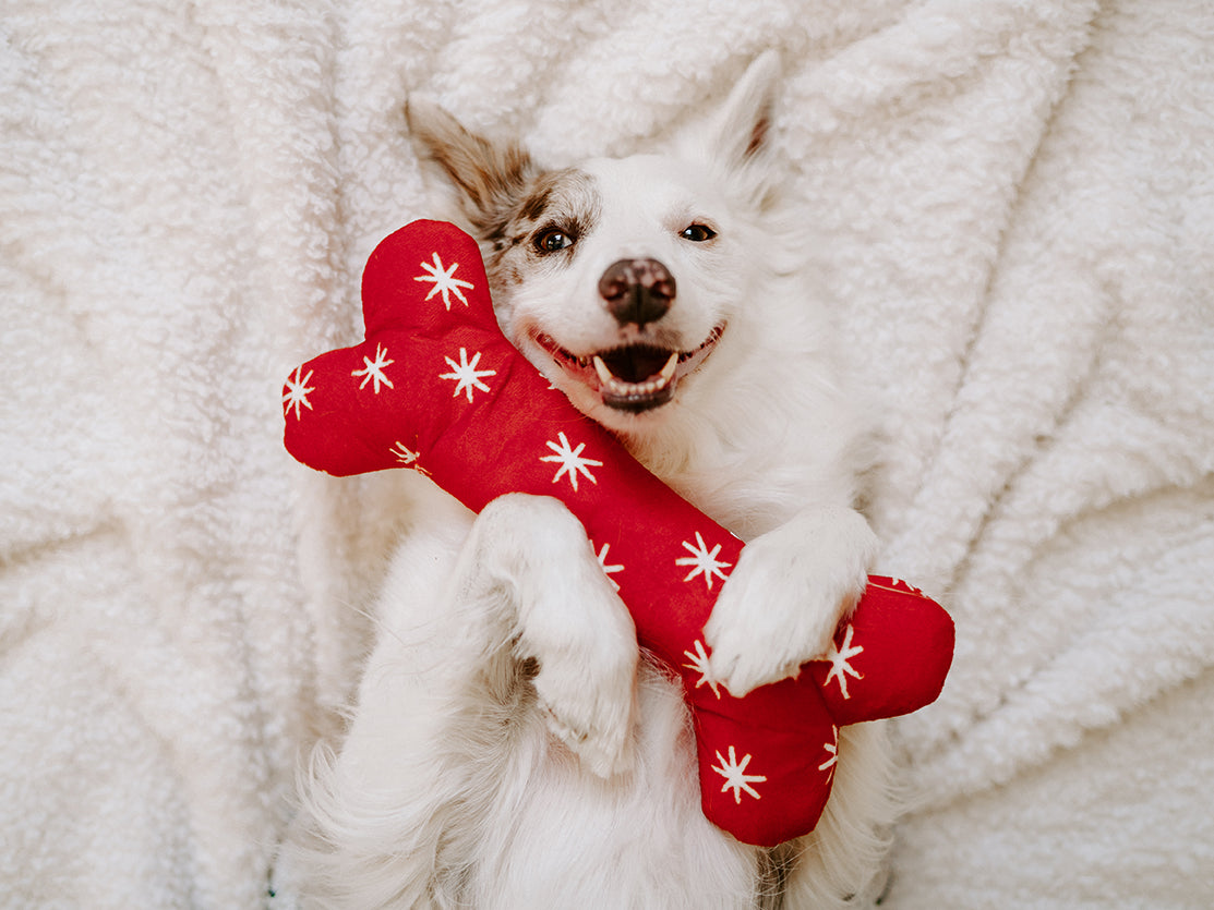 ZippyPaws Holiday Jigglerz® Festive Bone Plush Dog Toy