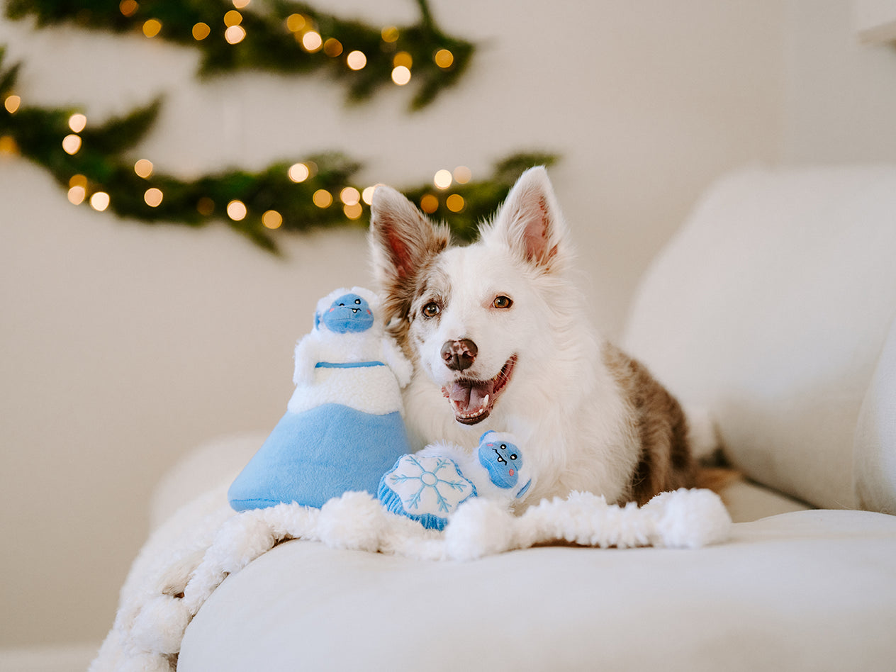 ZippyPaws Holiday Burrow™ Yeti Mountain Plush Dog Toy